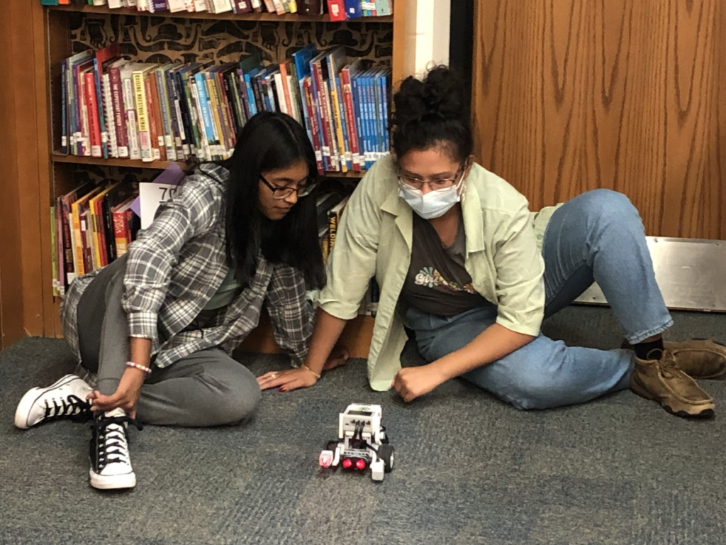EIR Grant Project